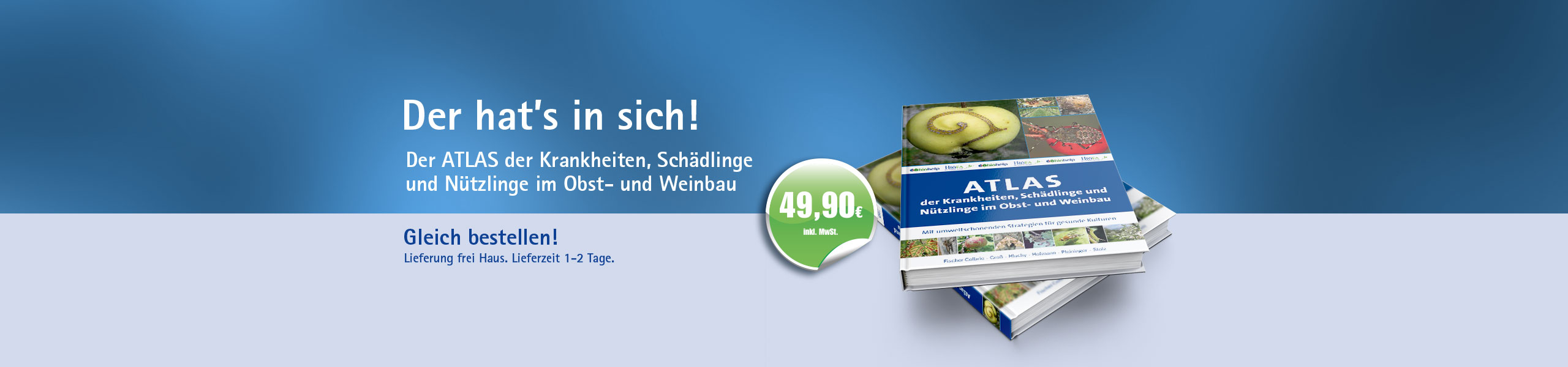 Die Schichtung der Nägel auf den Händen und ihre Behandlung
